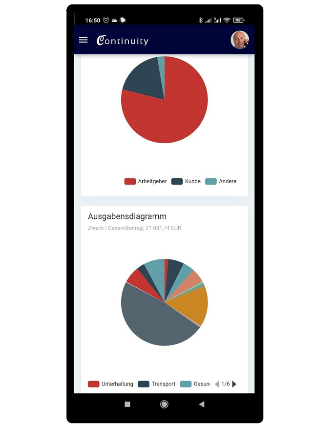 Mobile view of the pie-charts of incomes and expenses.
If you control it then you can manage it.